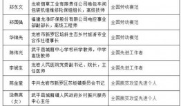 盲盒15级最新爆料,揭秘神秘新品，潮流收藏新趋势