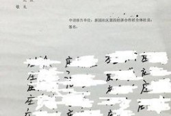 海丰爆料事件最新进展,最新进展揭示惊人内幕