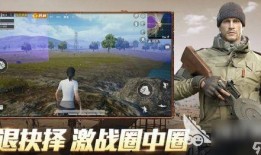 和平精英仙鹿最新爆料,和平精英仙鹿爆料揭秘，神秘新内容即将上线