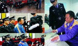 律师李庄爆料案件最新,真相与疑云交织